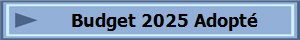 Budget 2025 Adopt�