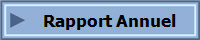 Rapport Annuel